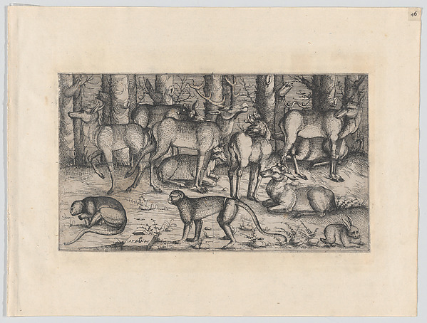 Stags in the Forest