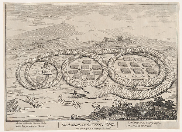 The American Rattle Snake