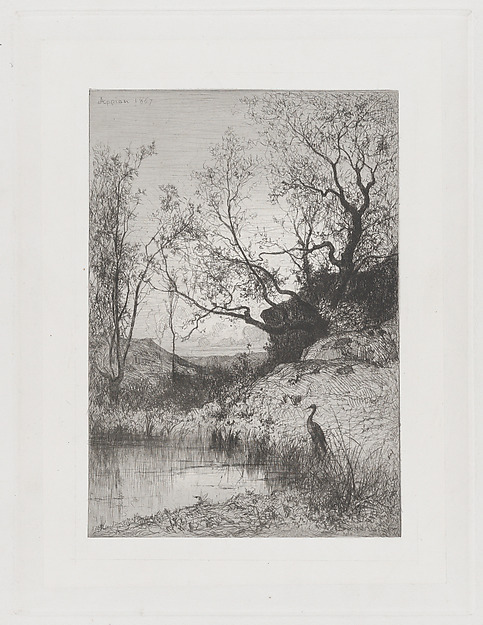 A Pond