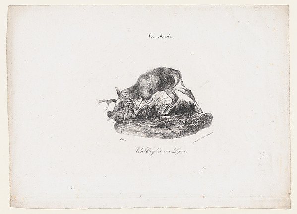 A Deer and a Lynx