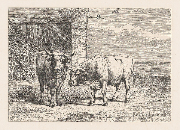 Bulls, from "Eaux-Fortes Animaux & Paysages"