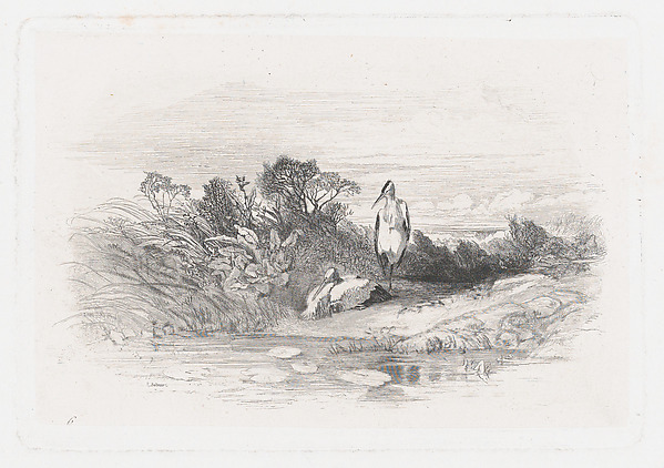 Two Herons
