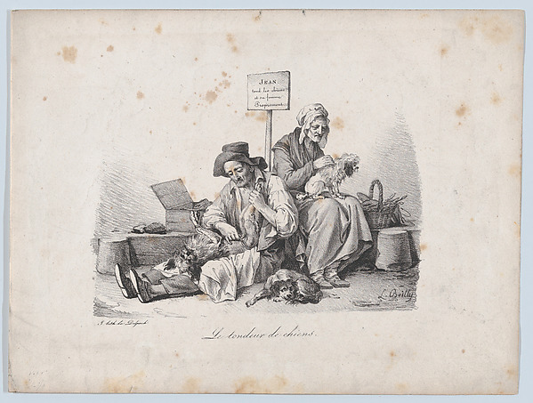The Dog Shearer