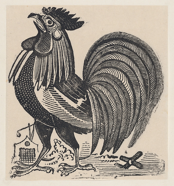 A rooster