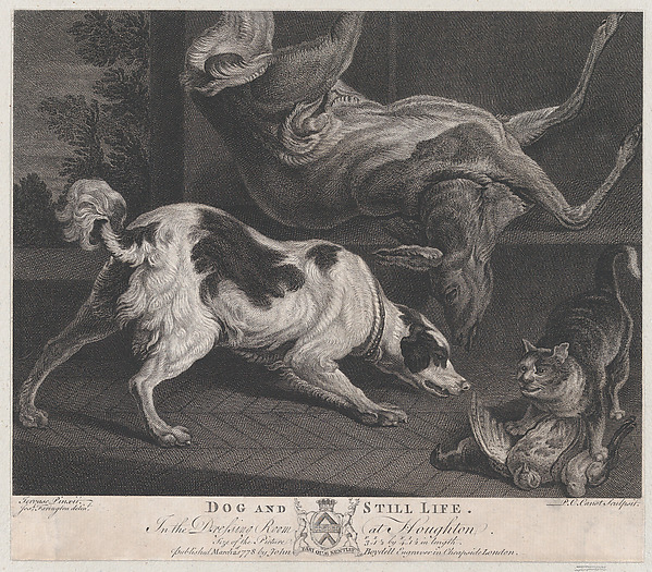 Dogs and Still Life