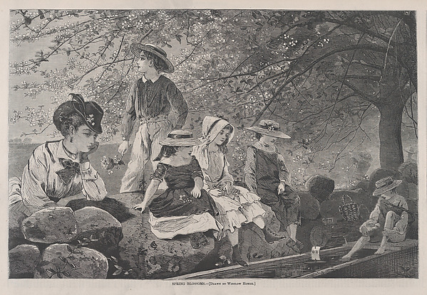 Spring Blossoms (from "Harper's Weekly," Vol. XIV)