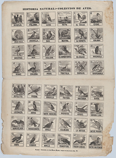 Broadside with 48 scenes of birds