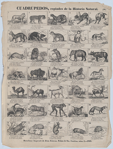 Broadside with 36 images of quadrupeds (animals)