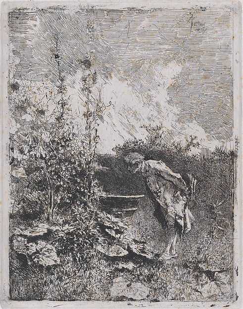 The botanist:  a man in a garden examining its contents