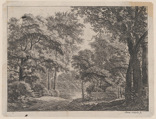 The Trimmed Groves
