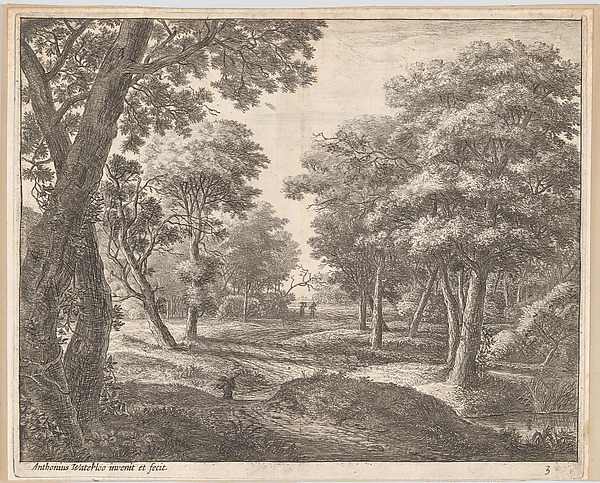A Path Through the Woods
