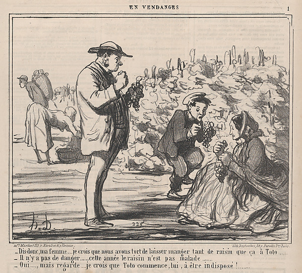 Dis-donc, ma femme.... je crois que nous avons tort de laisser manger tant de raisin que ça à Toto ....., from En Vendanges, published in Le Charivari, September 21, 1859