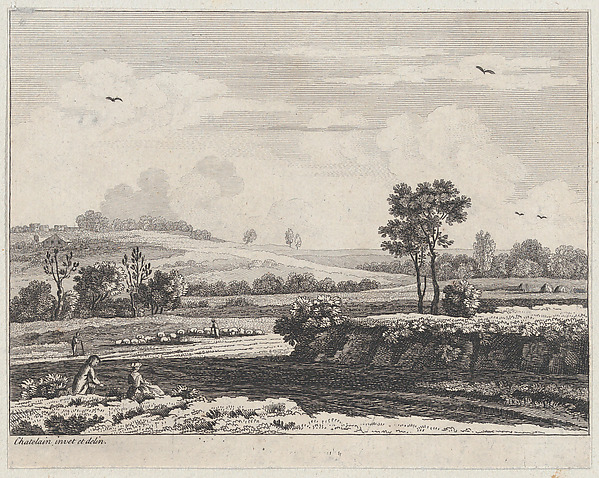 Landscape