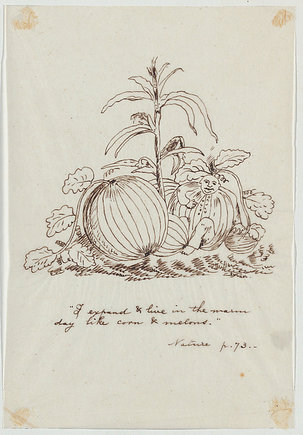 I Expand and Live in the Warm Day Like Corn and Melons (Illustration for Ralph Waldo Emerson's "Nature")