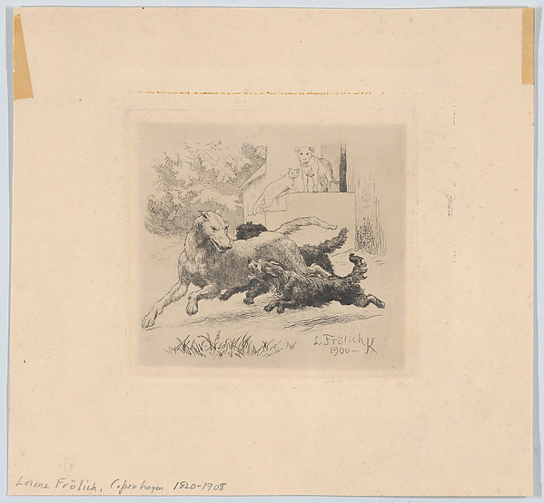 Three dogs playing at center, with a cat and a dog watching in the background