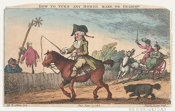 How to Turn Any Horse, Mare, or Gelding