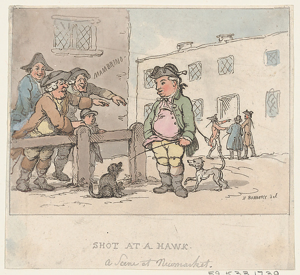 A Scene at Newmarket: A Shot at a Hawk [Pigeon]