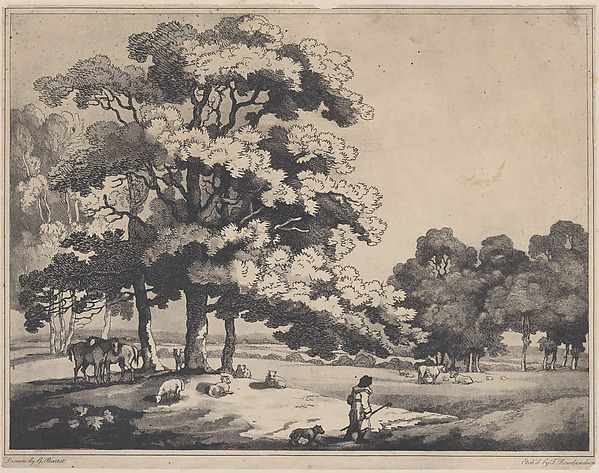 A Park Landscape