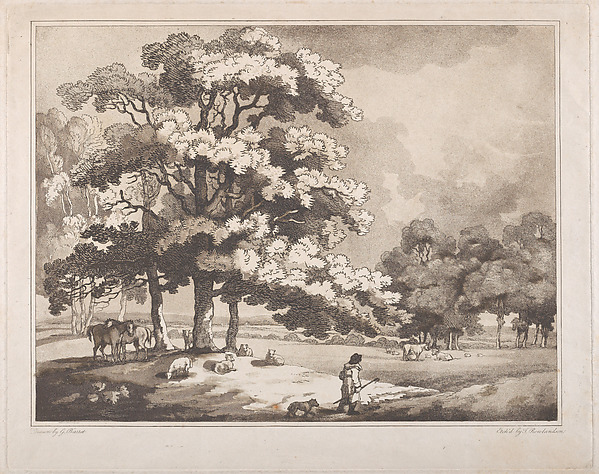 A Park Landscape