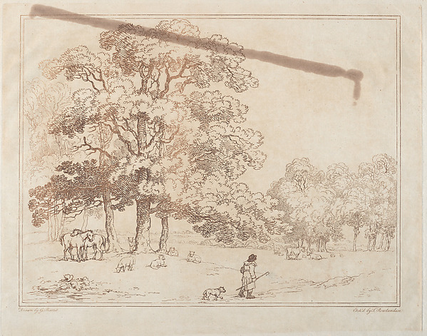 A Park Landscape