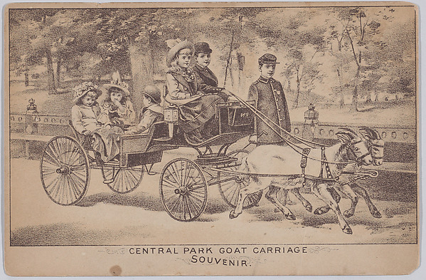 Central Park Goat Carriage (Souvenir Postcard)