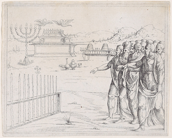 The Blossoming of Aaron's Rod, from Old and New Testaments by Augustin Hirschvogel