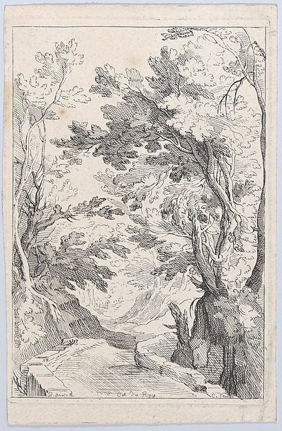 A Pathway with a Parapet in a Forest