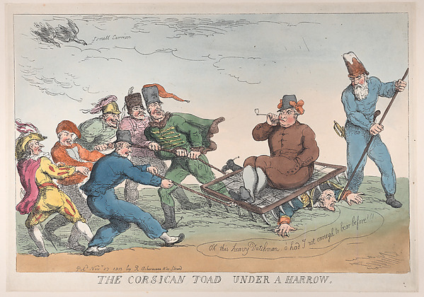 A Corsican Toad Under a Harrow