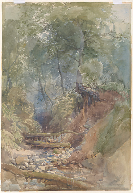 A Stream Near Clovelly, North Devon