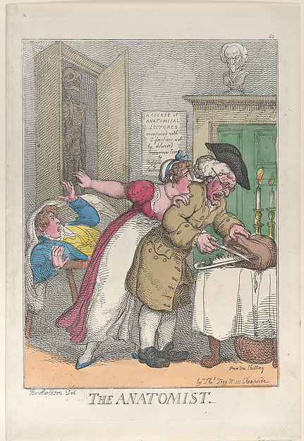 The Anatomist