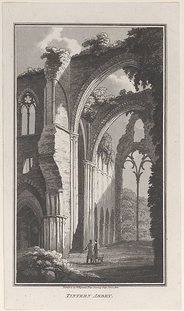 Water Fall near Dolghelly, from "Remarks on a Tour to North and South Wales, in the year 1797"
