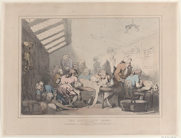 The Dissecting Room