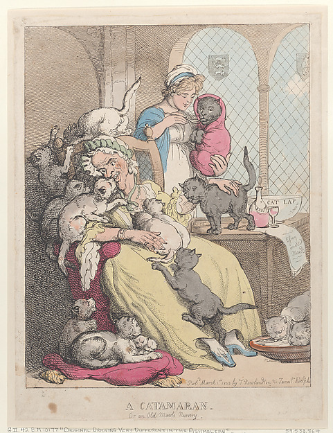 A Catamaran, or an Old Maid's Nursery