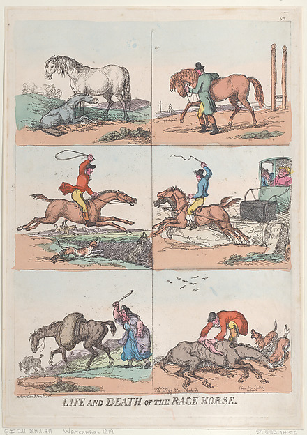 Life and Death of the Race Horse