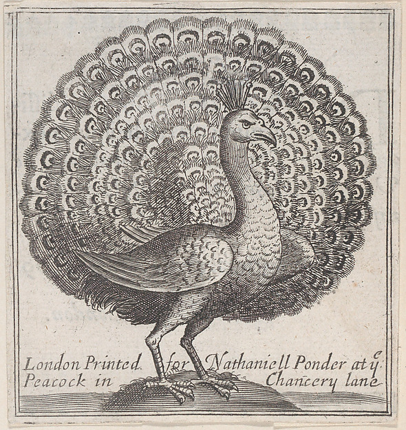 Trade card for Nathaniell Ponder, Bookseller