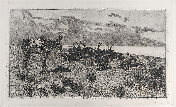 Donkeys on a seashore in winter