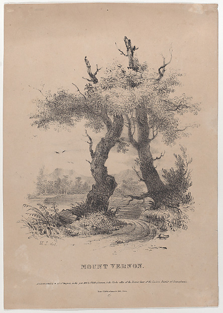 Mount Vernon with hidden silhouette of George Washington