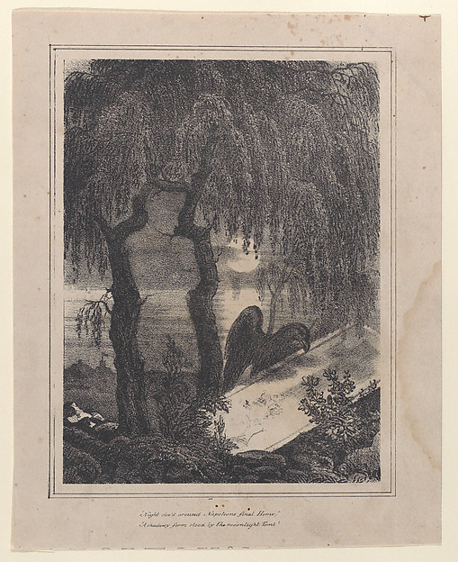 Napoleon's tomb with a hidden silhouette