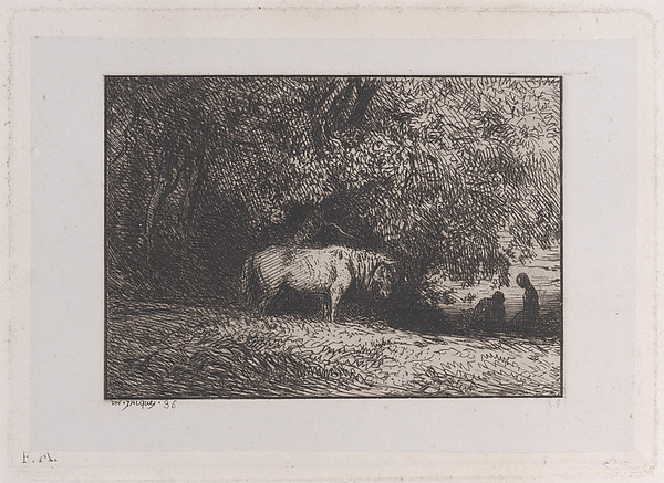 Horse Under a Tree Branch