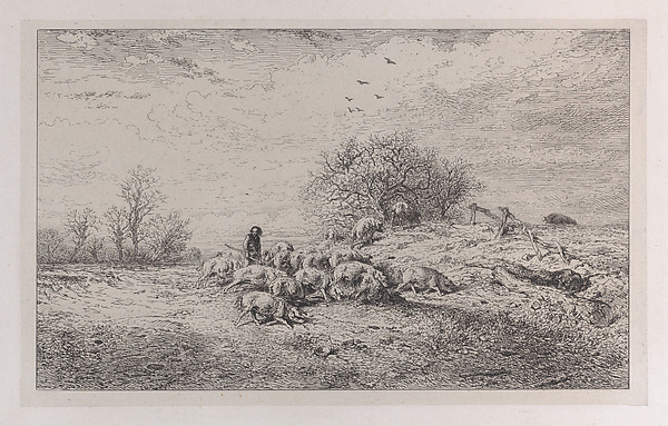 The Truffle Hunter
