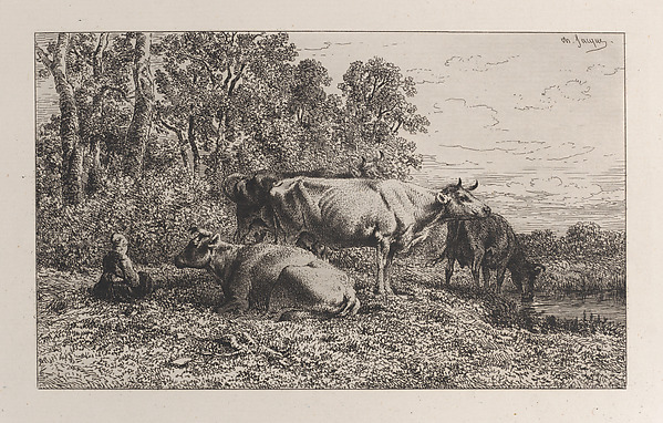 Dutch Cows