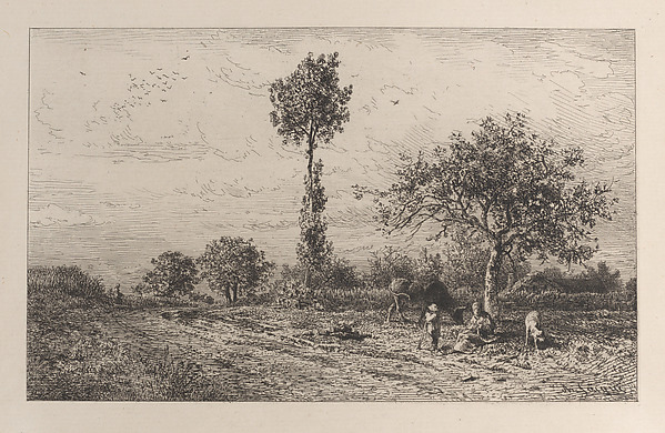 Landscape