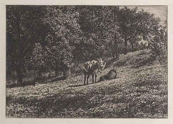 Orchard
