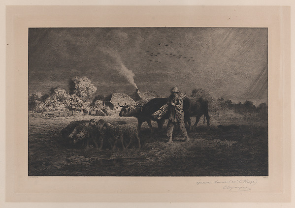 The Storm