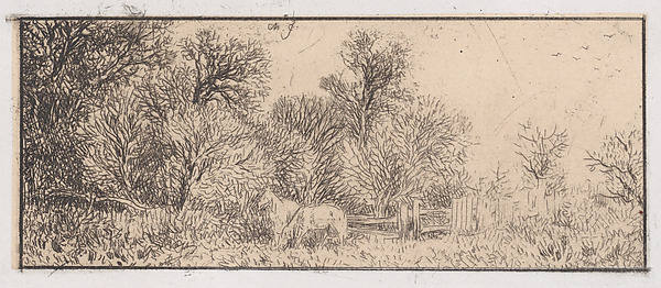 Two Horses in the Woods