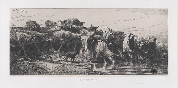 The Watering Hole