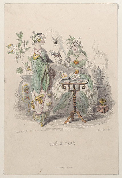 Thé & Café, from "Les Fleurs Animées" by J. J. Grandville, The Metropolitan Museum of Art