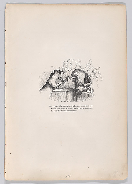 "Here, the civet offers a hit of snuff to an old beaver" from Scenes from the Private and Public Life of Animals
