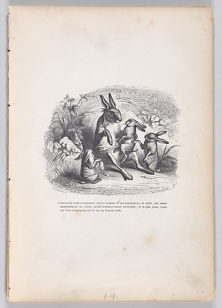 "The oldest rabbit jumped respectfully on his grandfather's lap..." from Scenes from the Private and Public Life of Animals