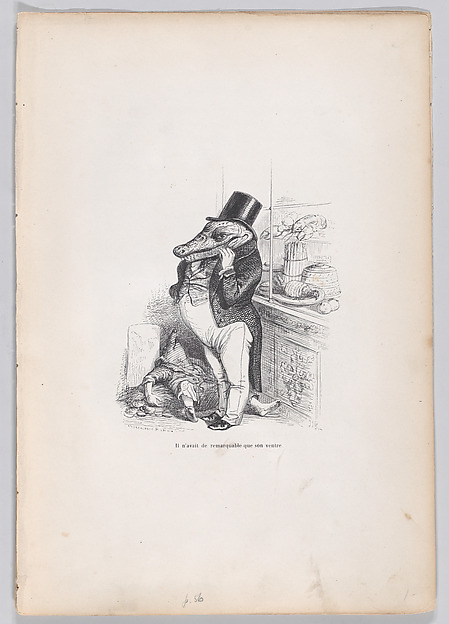 "Only his belly was remarkable" from Scenes from the Private and Public Life of Animals
